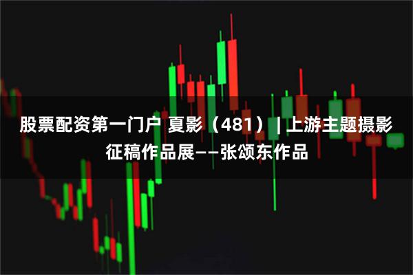 股票配资第一门户 夏影（481） | 上游主题摄影征稿作品展——张颂东作品